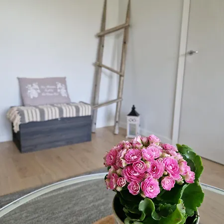 Cozy Top-floor Near The Travel Center And Downtown, With Ac And Wi-fi *