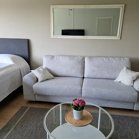 Cozy Top-floor Near The Travel Center And Downtown, With Ac And Wi-fi Lappeenranta