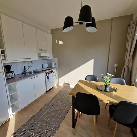 Cozy Top-floor Near The Travel Center And Downtown, With Ac And Wi-fi Apartment Lappeenranta