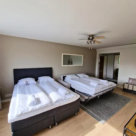 Apartament Cozy Top-floor Near The Travel Center And Downtown, With Ac And Wi-fi Lappeenranta