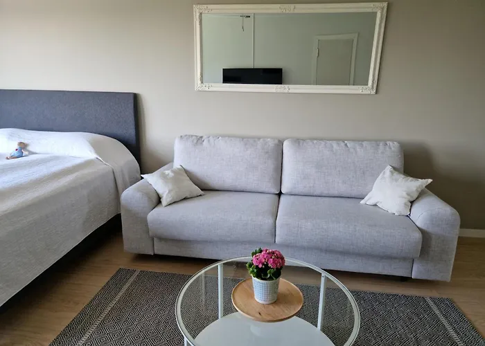 Cozy Top-floor Near The Travel Center And Downtown, With Ac And Wi-fi Lappeenranta